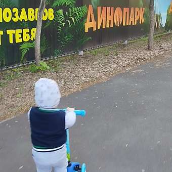 Самокат CITYRIDE трехколесный: отзыв пользователя Детский Мир