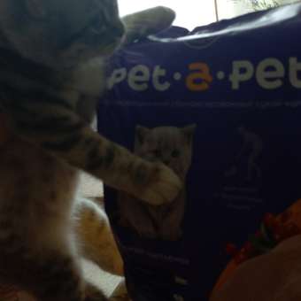 Корм для котят Pet-a-Pet 2кг с цыпленком: отзыв пользователя. Зоомагазин Зоозавр