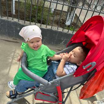 Коляска прогулочная Babyton Zoo Red: отзыв пользователя Детский Мир