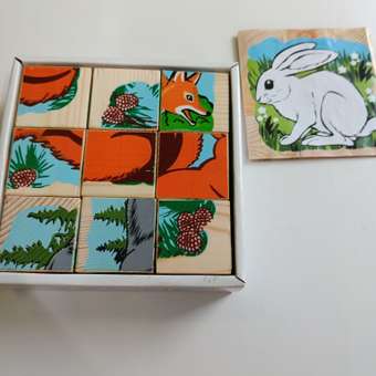 Кубики Томик Животные леса 9 штук 4444-4: отзыв пользователя Детский Мир