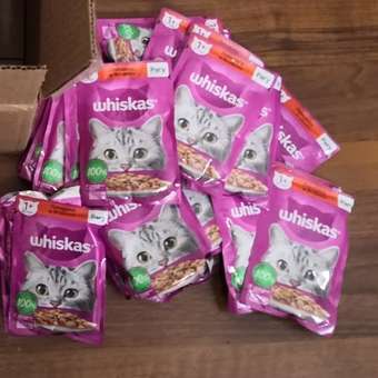 Корм для кошек Whiskas рагу с говядиной и ягненком 75г: отзыв пользователя Детский Мир