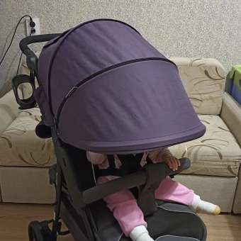 Коляска прогулочная Babyton Comfort Plus Purple: отзыв пользователя Детский Мир