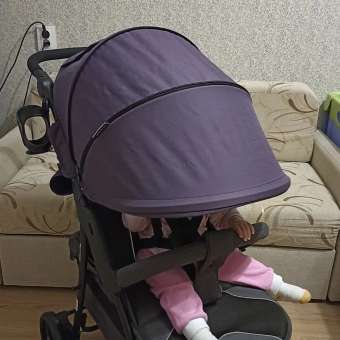 Коляска прогулочная Babyton Comfort Plus Purple: отзыв пользователя ДетМир