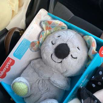 Игрушка Fisher Price Коала: отзыв пользователя ДетМир
