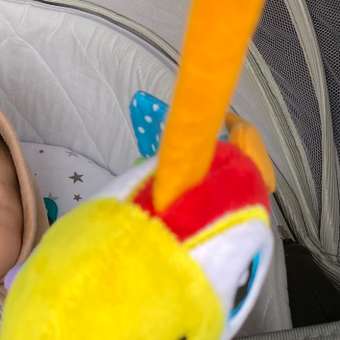 Подвеска УМка Попугай с прорезывателем 306993: отзыв пользователя Детский Мир