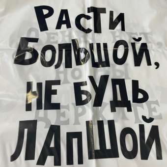 Набор пакетов Амарант подарочных Расти большой Денег нет Позвольте отхепибездить 3шт: отзыв пользователя Детский Мир