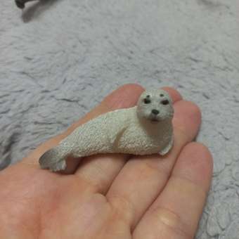 Игрушка Collecta Детёныш пятнистого тюленя фигурка животного: отзыв пользователя Детский Мир