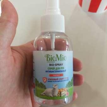 Спрей для рук BioMio гигиенический Грейпфрут 100мл: отзыв пользователя Детский Мир