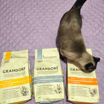 Корм для кошек Grandorf 2кг для стерилизованных индейка: отзыв пользователя. Зоомагазин Зоозавр