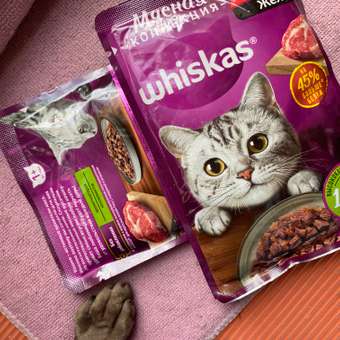 Корм для кошек Whiskas Мясная коллекция с говядиной 75г: отзыв пользователя Детский Мир