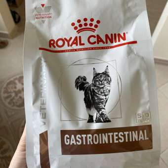 Корм для кошек ROYAL CANIN Gastro Intestinal GI-32 лечение ЖКТ 0.4кг: отзыв пользователя. Зоомагазин Зоозавр