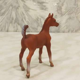 Фигурка животного Collecta Жеребенок лошади Арабской - каштановый: отзыв пользователя Детский Мир