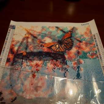 Алмазная мозаика на холсте Solmax Бабочка 30 x 30 см CP54070: отзыв пользователя Детский Мир