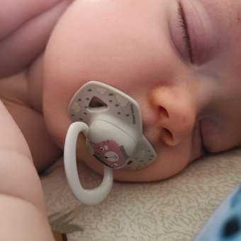 Пустышка Canpol Babies силикон анатомическая от 6 мес. 2 шт.: отзыв пользователя Детский Мир