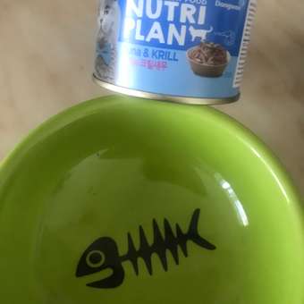 Корм для кошек Nutri Plan 160г тунец с крилем в собственном соку: отзыв пользователя. Зоомагазин Зоозавр