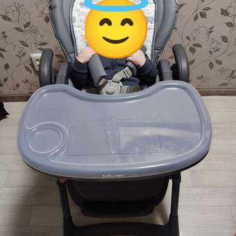 Стульчик для кормления Babyton Sweet Meals Grey классический: отзыв пользователя ДетМир
