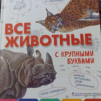 Книга Эксмо Все животные с крупными буквами: отзыв пользователя Детский Мир