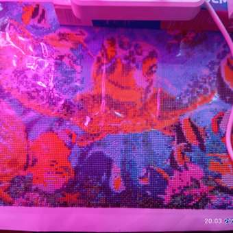 Алмазная мозаика Seichi Морская черепашка с рыбками 40х50 см: отзыв пользователя Детский Мир