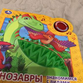 Книга УМка Динозавры 322033: отзыв пользователя Детский Мир