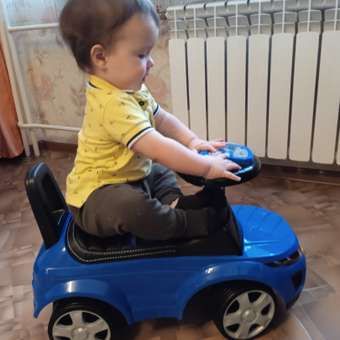 Пушкар BabyCare Sport car: отзыв пользователя Детский Мир