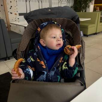 Коляска прогулочная Babyton Urban Brown: отзыв пользователя Детский Мир