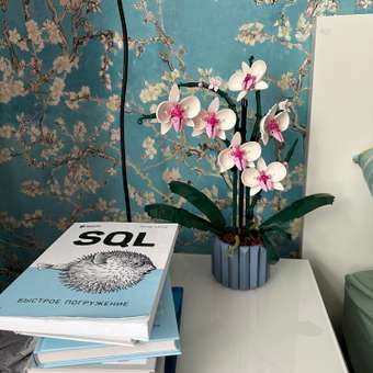 Конструктор LEGO Botanicals Orchid блочный: отзыв пользователя Детский Мир