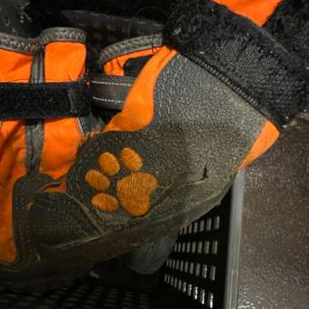 Ботинки для собак Зоозавр серые XL (4шт): отзыв пользователя Детский Мир