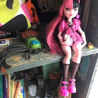 Кукла Monster High Day Out Draculaura HKY71: отзыв пользователя ДетМир