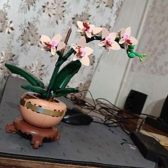 Конструктор LEGO Botanicals Мини-орхидея: отзыв пользователя Детский Мир