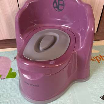 Горшок детский с крышкой AmaroBaby Ergonomic фиолетовый: отзыв пользователя Детский Мир