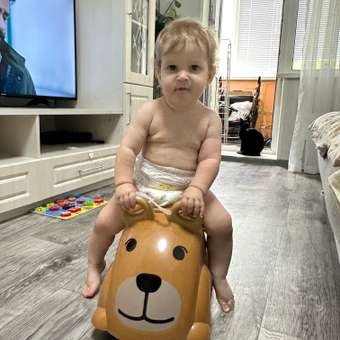Пушкар VIKINGTOYS Cute Rider Медведь: отзыв пользователя Детский Мир