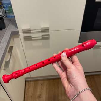 Блок-флейта CB SKY Красный MRP105R: отзыв пользователя Детский Мир