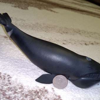Фигурка морского животного Collecta Гренландский Кит: отзыв пользователя Детский Мир