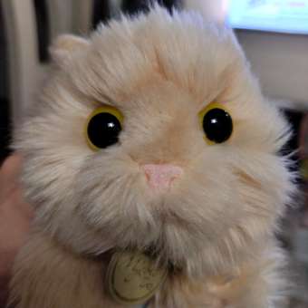 Мягкая игрушка Aurora Персидский кот(30883A): отзыв пользователя ДетМир