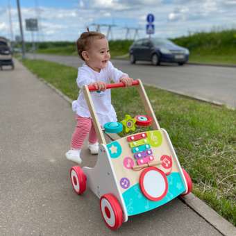 Ходунки Hape Музыкальные с ручкой: отзыв пользователя Детский Мир