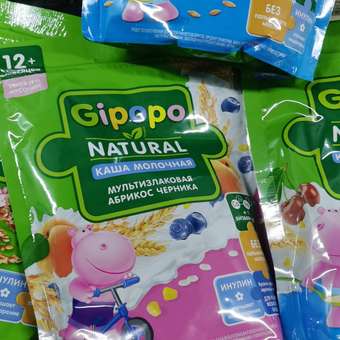 Каша Gipopo молочная овсяная яблоко-черника-черная смородина 170г с 5месяцев: отзыв пользователя Детский Мир