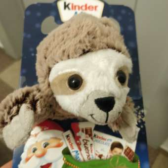 Подарок Kinder Микс 137,5 г с игрушкой в ассортименте: отзыв пользователя Детский Мир