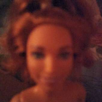 Кукла модельная Barbie: отзыв пользователя ДетМир
