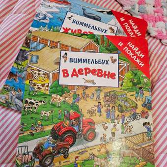 Книга Росмэн В деревне Найди и покажи Виммельбух: отзыв пользователя Детский Мир