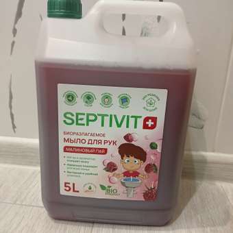 Жидкое мыло SEPTIVIT Premium Малиновый Пай 5л: отзыв пользователя Детский Мир