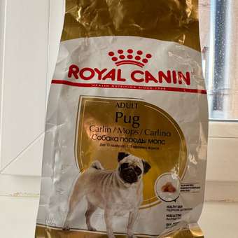 Корм для собак ROYAL CANIN породы мопс 500г: отзыв пользователя. Зоомагазин Зоозавр