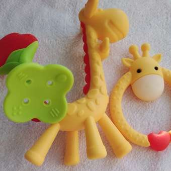 Развивающая игрушка-погремушка FergoKids набор силиконовых прорезывателей: отзыв пользователя Детский Мир