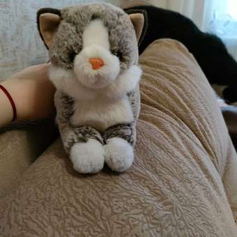 Мягкая игрушка Mimis кошка Матильда 33 см: отзыв пользователя Детский Мир