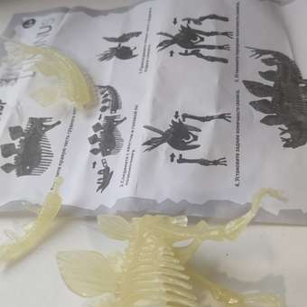 Сборная модель 1TOY 3dino luminus люминисцентный скелет динозавра: отзыв пользователя Детский Мир