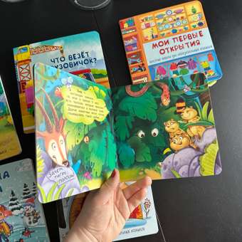Набор книг с окошками BimBiMon Большой сборник Для самых маленьких 6 шт: отзыв пользователя Детский Мир
