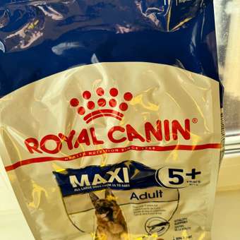 Корм для собак ROYAL CANIN Maxi Adult 5+ крупных пород 4кг: отзыв пользователя. Зоомагазин Зоозавр