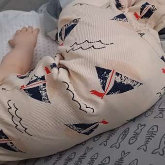 Комбинезон Baby Gо: отзыв пользователя ДетМир