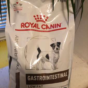 Корм для собак ROYAL CANIN Gastrointestinal low fat мелких пород 3кг: отзыв пользователя. Зоомагазин Зоозавр