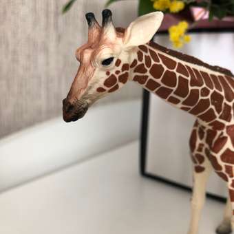 Игровой набор MOJO Animal Planet: отзыв пользователя Детский Мир