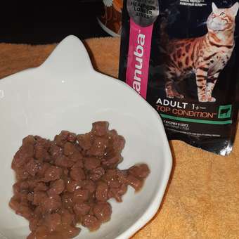 Корм влажный для кошек Eukanuba Cat 85г с говядиной в соусе для взрослых пауч: отзыв пользователя Детский Мир